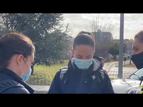 Fa Junior Especial vs Torrelodones