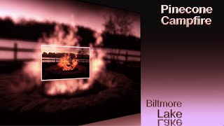 Biltmore Lake Pinecone Campfire, Original Music, Original 4K Video - david gregory music video