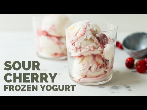 download lagu mp3 mp4 Sour Cherry Frozen Yogurt Recipe, download lagu Sour Cherry Frozen Yogurt Recipe gratis, unduh video klip Sour Cherry Frozen Yogurt Recipe