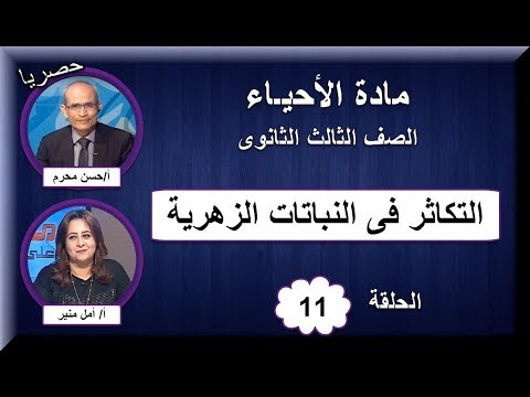 أحياء الصف الثالث الثانوى 2019 - الحلقة 11 - التكاثر فى النباتات الزهرية