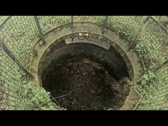 Judge.me YouTube video placeholder