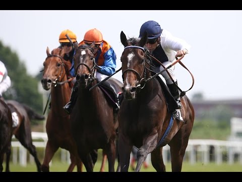 Hamburg: Esso Cup (Listenrennen) - Siegerin: Techno Queen