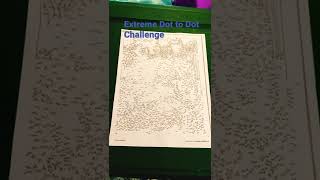 Extreme Dot to Dot Challenge!!⚪️