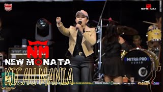 Download lagu KICAU MANIA (COVER) NEW MONATA - LIVE PANDAAN mp3