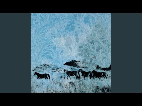 Snow Falling On Horses