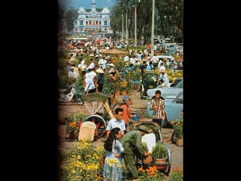 Thể hiện bởi Thái Thanh (trước 75)
