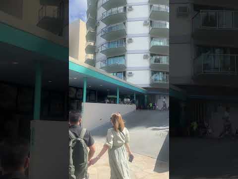 Waikiki Ovos N Coisas