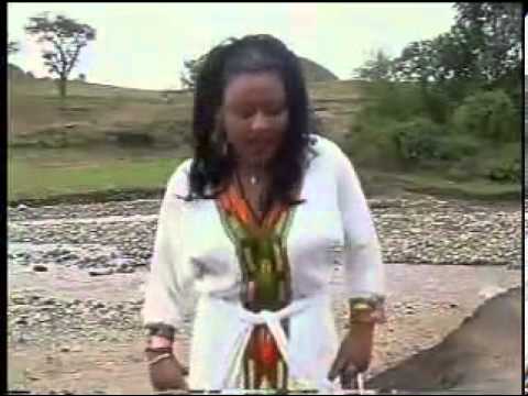 Tigist Alene Gud Bel Wollo