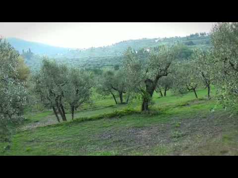 Giorgio Tesi Group - NATURART Pistoia nel Mondo il Mondo a Pistoia