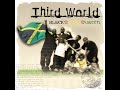 Third World w/Wayne Marshall - Writing's On The Wall - 2005