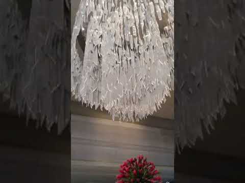 Birthday wishes by sufi padma