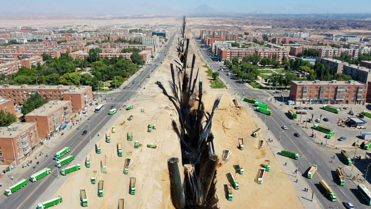 Australia Eliminó Toda Vida en Esta Línea en MEDIO de la Ciudad y Dejó a Todos en Shock