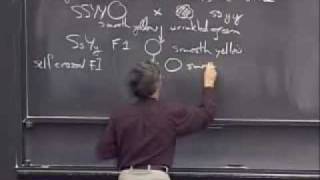 Lec 23 | MIT 7.014 Introductory Biology, Spring 2005