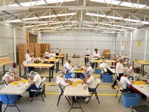 J Tek ® instalaciones en MEXICO