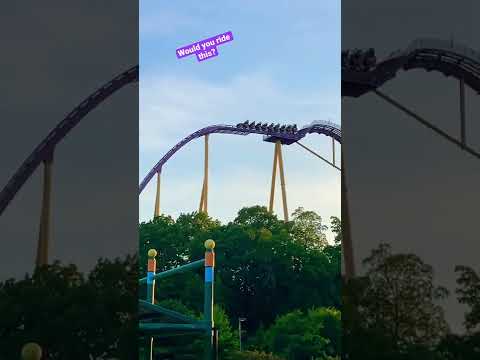 Você montaria isso? (Apollos Chariot, Busch Gardens Williamsburg)