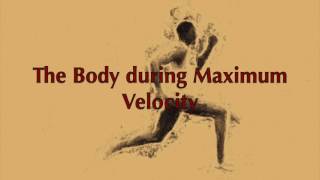 Maximum Velocity