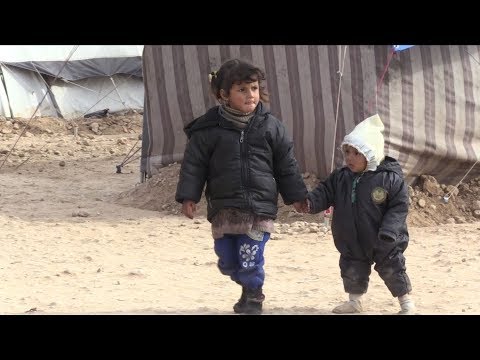 Arab Today- Displaced Syrians survive war but face battle