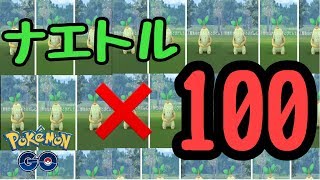 【ポケモンGO】ナエトル100匹捕獲！！　コミュニティデイ　【pokemon】