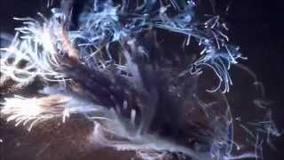 Nathalie Archangel - "A Higher High" (Giuseppe D. Radio Remix) (Lyric Video)