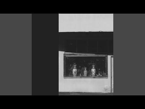 As A Vehicle, The Dream II