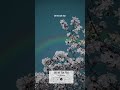 Dil Hi Toh Hai Status Spotify Shorts