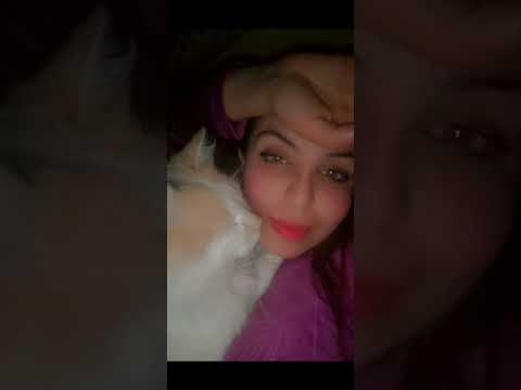 kol mohib l9itat (catty/bello/simba)