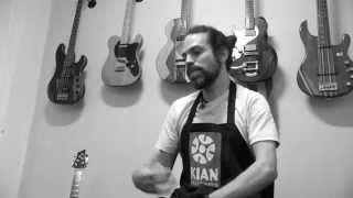 Kian Guitars - Luthier Sânzio Brandão