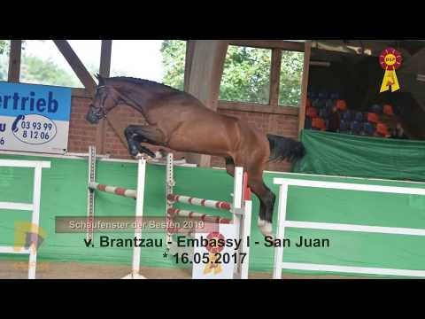 28 Brantzau - Embassy I