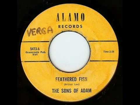 The Sons of Adam 'Feathered Fish' (1966) [Pebbles version]