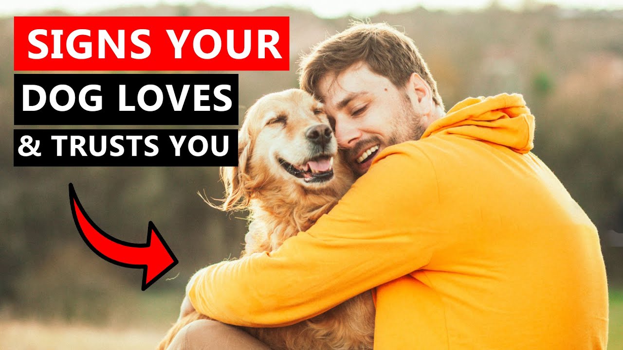 10 Interesting Signs Your Dog Truly Loves and Trusts You!