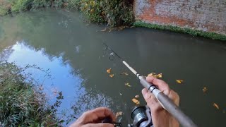 Murky Water Fishing