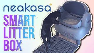 My Cat Tried the Neakasa M1 Smart Litter Box… Here’s What Happened!