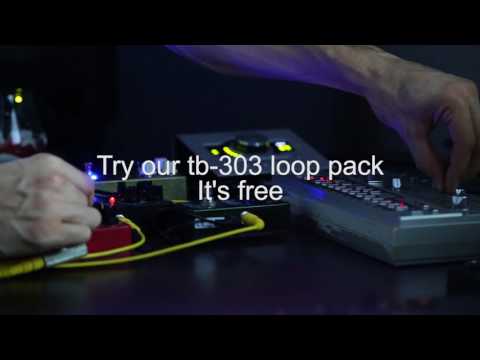 Roland TB 303 and several analog guitar pedals.