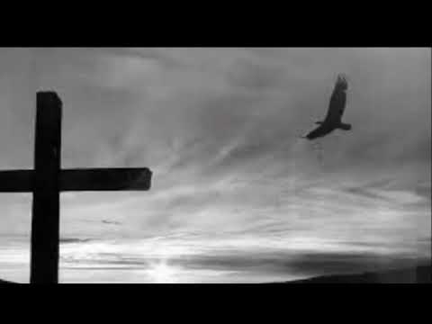 Found Real Love - Wings Of Faith (Fred Baca)