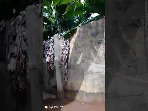 Developed Plot of Land with Residential Buildings – Ikotun/Igando Road