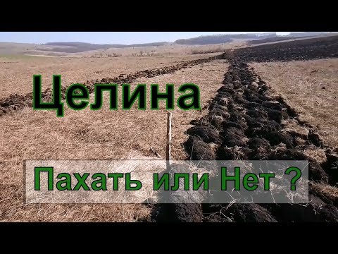 Как лучше оброботать целину? Плуг или Диски