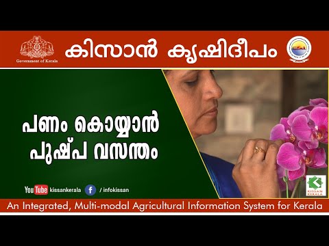 Splendid Orchidarium of Kerala.. Housewife Sheeja making huge profit out of Orchid flowers