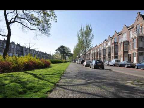 In Den Haag is een Laan - Conny Vandenbos