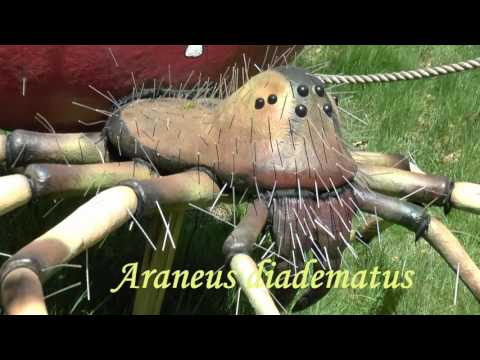 The Kashubian Giant Park in Strysza Buda.