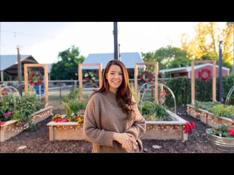 Tips For Gardening: Winter Gardening in Zone 9b