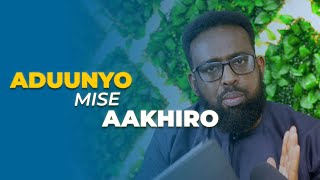 ADUUNYO MISE AAKHIRO? - FARIINTA JIMCAHA