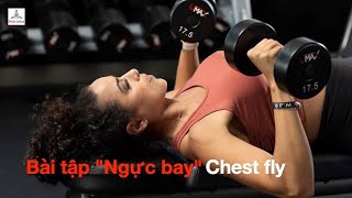 V40. Bài tập ngực bay (chest fly)