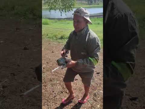 Grupo de pesca rede rasgada Agricolandia Piauí