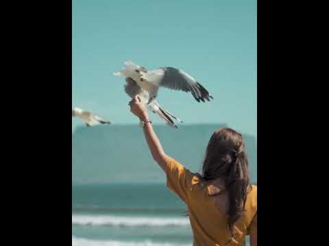 Birds flying in slow motion #shorts #birds