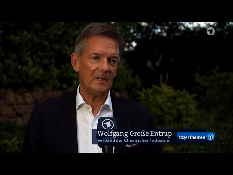 VCI-Hauptgeschäftsführer Wolfgang Große Entrup zum Monitoringbericht zur Energiewende