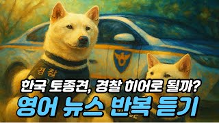 영어 뉴스 듣기 - 한국 토종견, 경찰 히어로 될까?