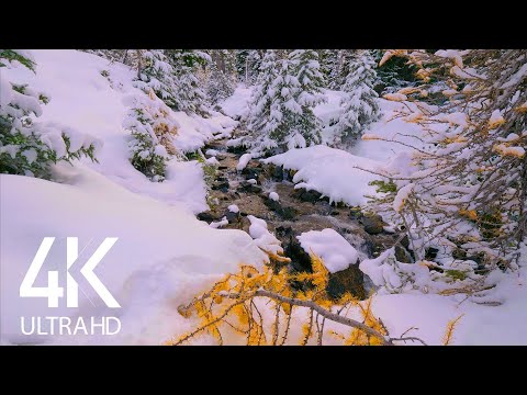 8 HOURS Soothing Sounds of a Small Forest River - 4K Winter Stream - Episode #1