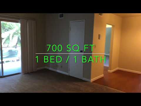Sunnyvale Apt For Rent - 1 Bed 1 Bath - by Property Management in Silicon Valley