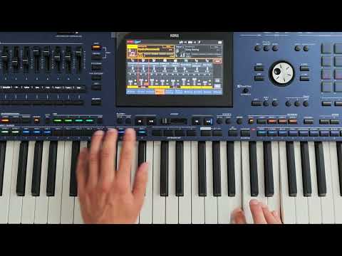 New Euro Disco Style - In the blackness of the soul ( Style Korg & Danekoo1 ) Instrumental