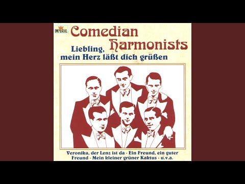 Mein kleiner grüner Kaktus (1990 Digital Remaster)